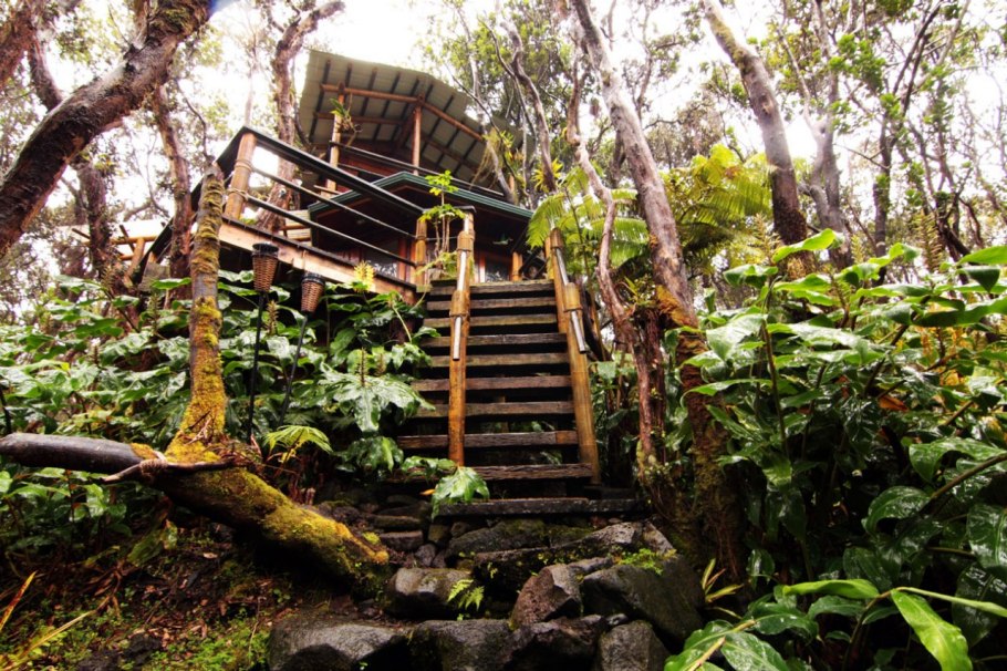 photos-luxury-tree-houses-airbnb.sw.16.airbnb-tree-houses-ss13
