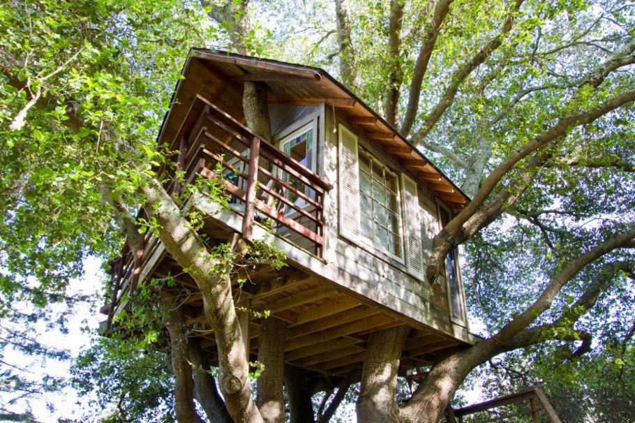 photos-luxury-tree-houses-airbnb.sw.4.airbnb-tree-houses-ss01
