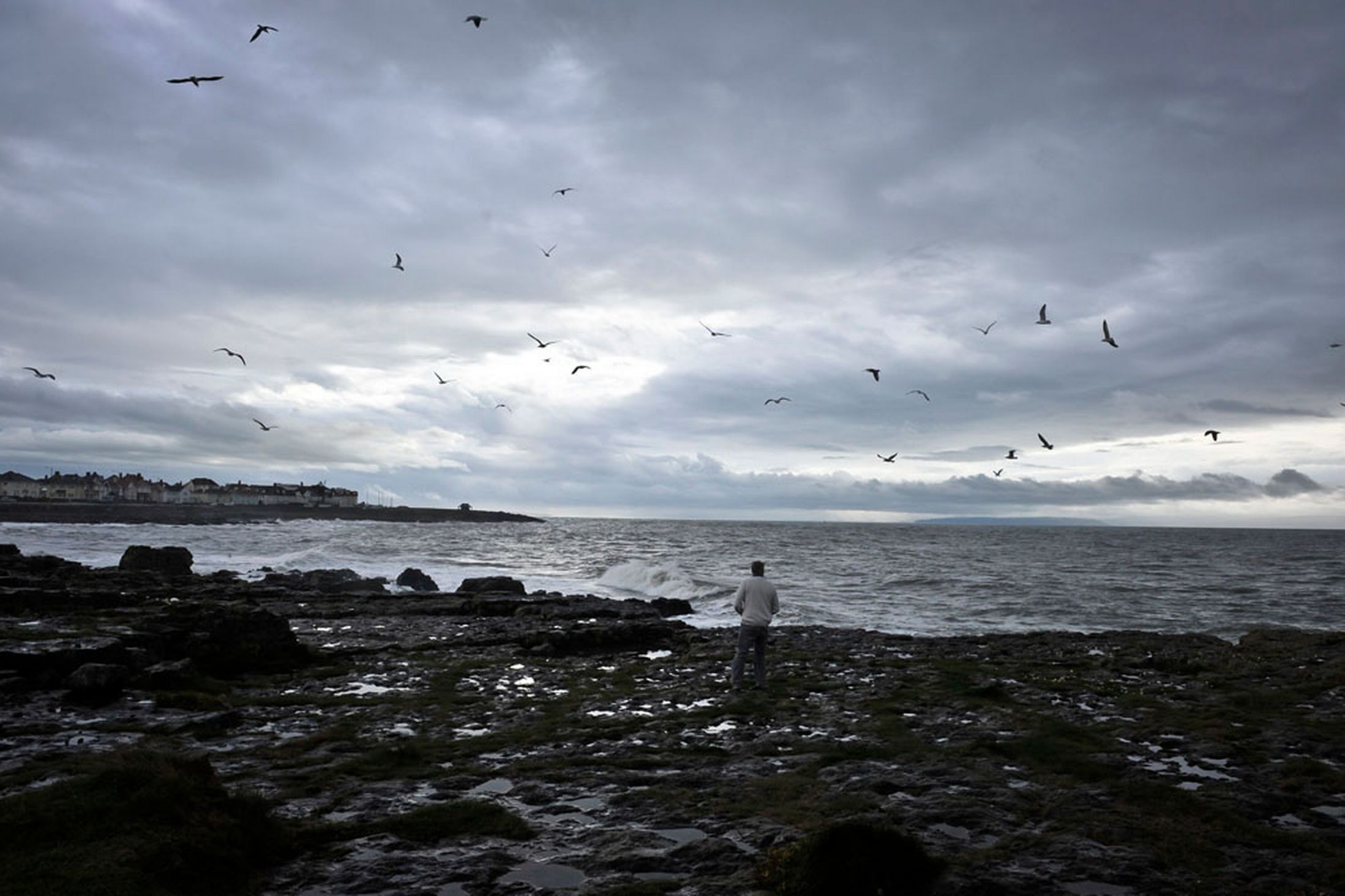 A-man-feeds-seagulls-by-the-sea-at-Porthcawl-Wales-beneath-stormy-skies-22nd-October-2641152