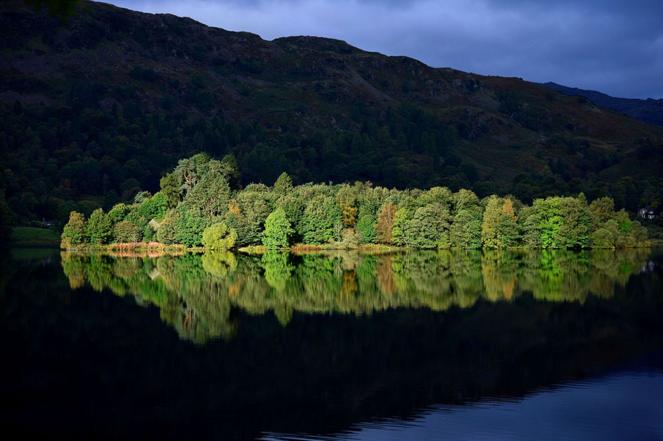 The-Autumn-sun-lights-up-an-island-on-Grasmere-Lake-in-the-Lake-District-Cumbria-6t-October-2641161