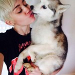 Miley-Cyrus-and-Floyd-3339404